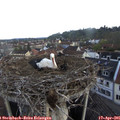 07_35-nest.jpg