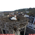 07_40-nest.jpg