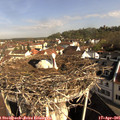 09_10-nest.jpg