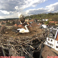 16_15-nest.jpg