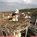 09_20-nest.jpg