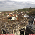 09_30-nest.jpg