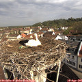 09_35-nest.jpg