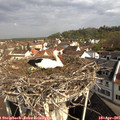 09_40-nest.jpg