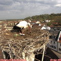 09_45-nest.jpg