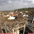 09_50-nest.jpg