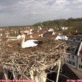 10_05-nest.jpg