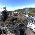 16_35-nest.jpg