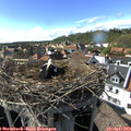 16_40-nest.jpg