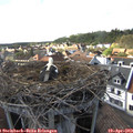 16_55-nest.jpg