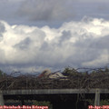 17_00-mast.jpg
