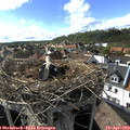 17_05-nest.jpg