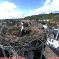 17_10-nest.jpg