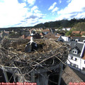 17_15-nest.jpg