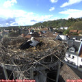 17_35-nest.jpg