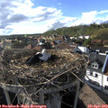 17_45-nest.jpg