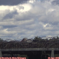 17_50-mast.jpg
