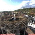 18_05-nest.jpg