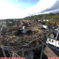 18_10-nest.jpg