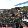 18_30-nest.jpg