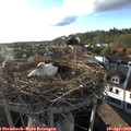 18_40-nest.jpg