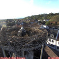19_05-nest.jpg
