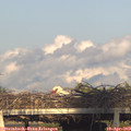 19_10-mast.jpg