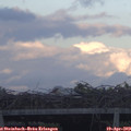 19_35-mast.jpg