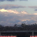 19_40-mast.jpg