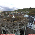19_40-nest.jpg