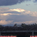 19_45-mast.jpg