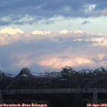 19_55-mast.jpg