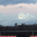20_15-mast.jpg