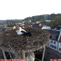 06_25-nest.jpg