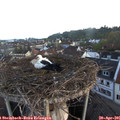 06_35-nest.jpg