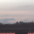 06_40-mast.jpg