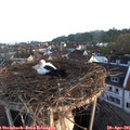 06_40-nest.jpg