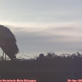 06_55-mast.jpg