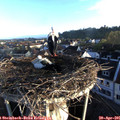 06_55-nest.jpg