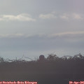 07_25-mast.jpg
