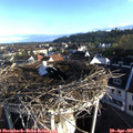 07_25-nest.jpg