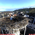 07_35-nest.jpg