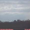 07_40-mast.jpg
