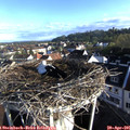 07_40-nest.jpg