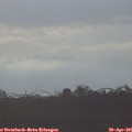 07_45-mast.jpg