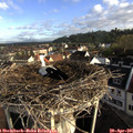 07_55-nest.jpg