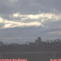 08_00-mast.jpg