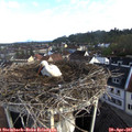 08_00-nest.jpg
