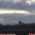 08_05-mast.jpg