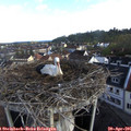 08_05-nest.jpg